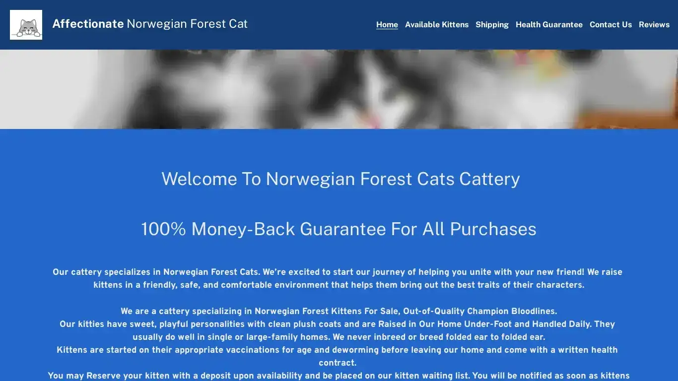 is Norwegian Forest Cats For Sale legit? screenshot