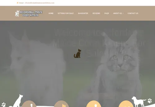 is affordablemainecoonkittens.com legit? screenshot