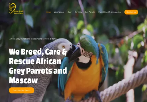 is africangreyandmacaw.com legit? screenshot