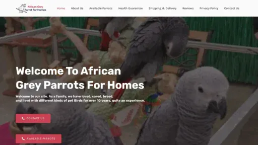 A screenshot of Africangreyparrotforhomes.com
