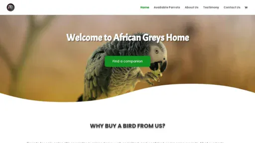 A screenshot of Africangreyshome.com