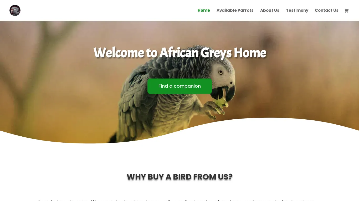 is africangreyshome.com legit? screenshot