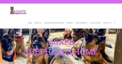 A screenshot of Genlanfamilystbernard.com