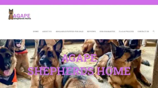 A screenshot of Genlanfamilystbernard.com