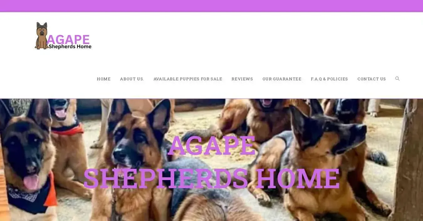 is agapeshepherdshome.com legit? screenshot