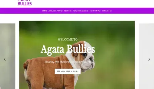 A screenshot of Genlanfamilystbernard.com