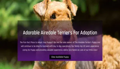 A screenshot of Genlanfamilystbernard.com