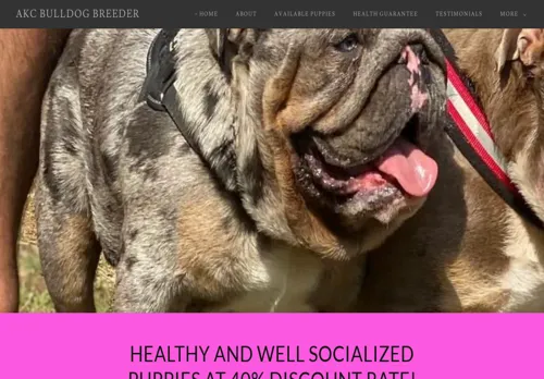 is akcbulldoghome.com legit? screenshot