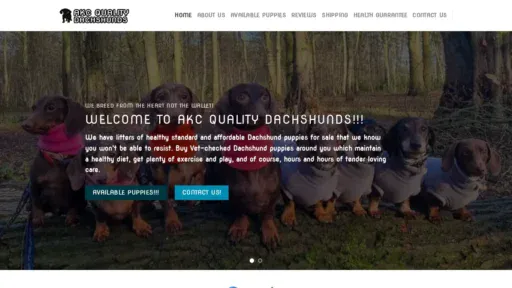 A screenshot of Akcqualitydachshunds.com