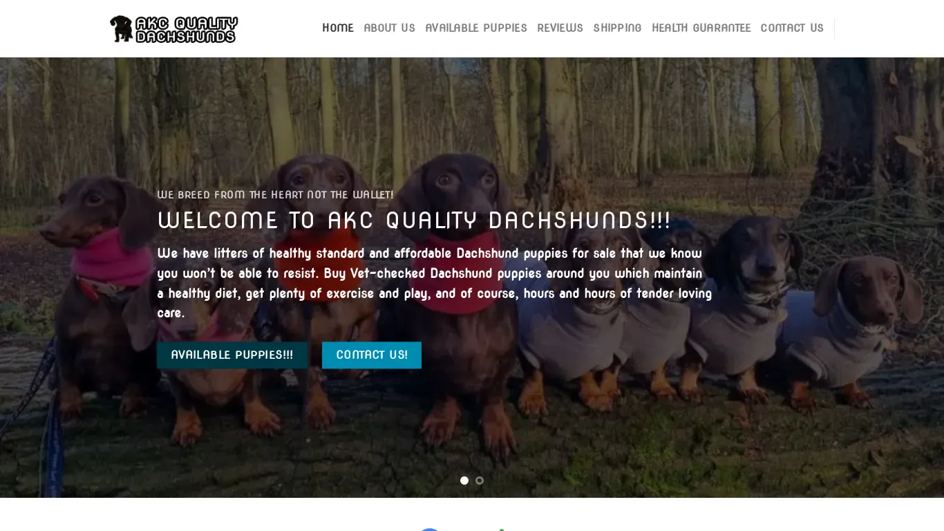 is akcqualitydachshunds.com legit? screenshot
