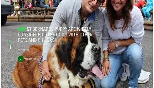 A screenshot of Genlanfamilystbernard.com