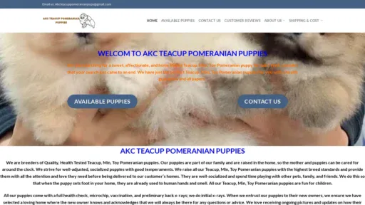 A screenshot of Akcteacuppomeranianpuppies.com