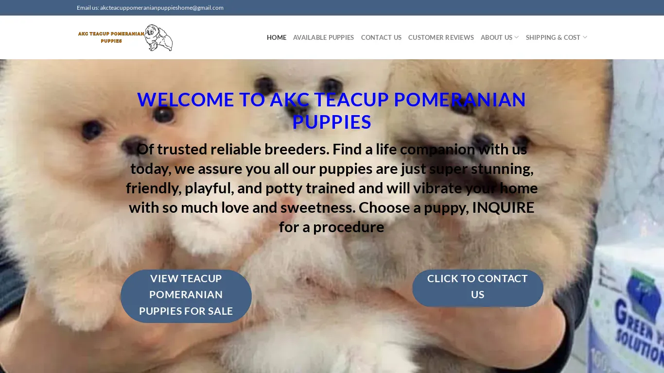is akcteacuppomeranianpuppies.shop legit? screenshot