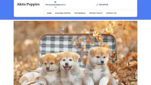 A screenshot of Akitaspuppiesforsale.com