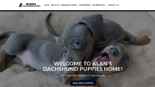 A screenshot of Alansdachshundpuppies.com