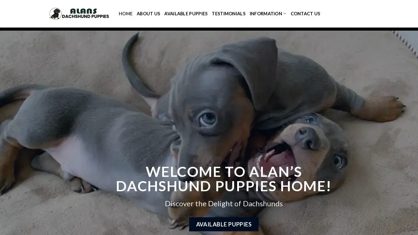 is Alans Dachshund Puppies – Dachshund puppies for sale legit? screenshot