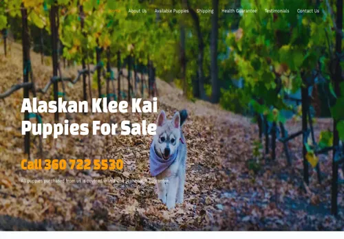 is alaskankleekaipuppy.com legit? screenshot