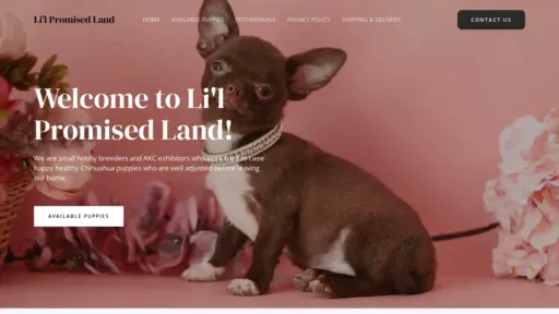A screenshot of Alchihuahua.com