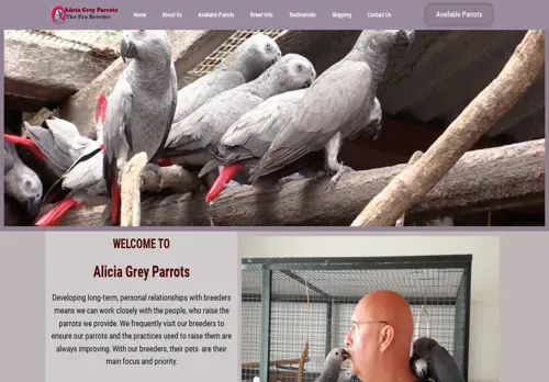 is aliciagreyparrots.com legit? screenshot