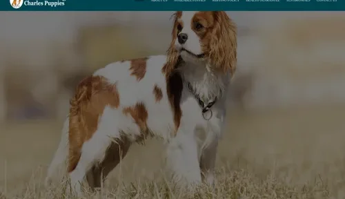 A screenshot of Genlanfamilystbernard.com