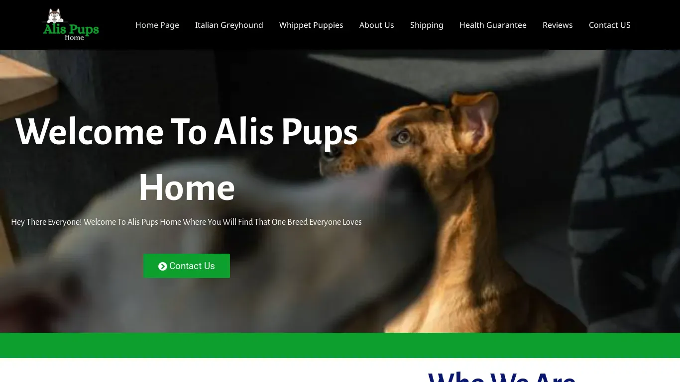 is alisgreyhoundpups.com legit? screenshot