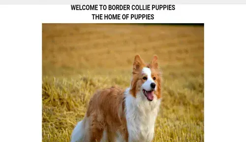 A screenshot of Genlanfamilystbernard.com