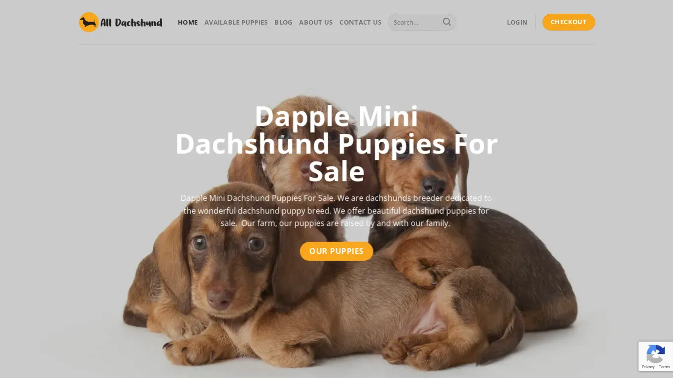 is alldachshund.com legit? screenshot