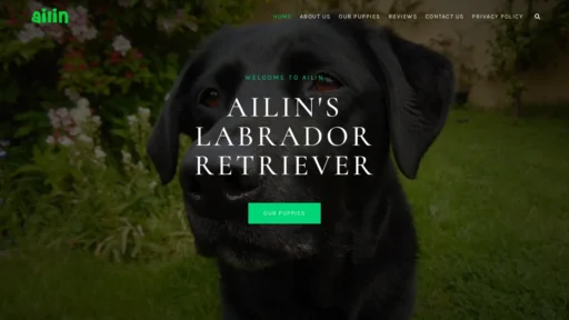 A screenshot of Allinslabradorretriever.shop