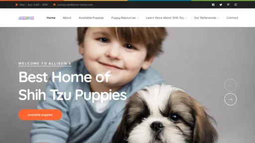A screenshot of Allisons-home.com