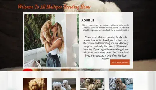 A screenshot of Genlanfamilystbernard.com