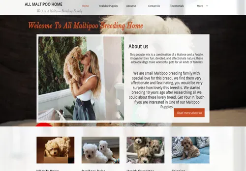 is allmaltipoobreedinghome.com legit? screenshot