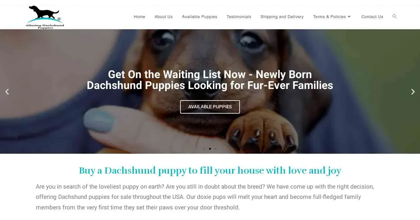 is alluringdachshundpuppies.com legit? screenshot