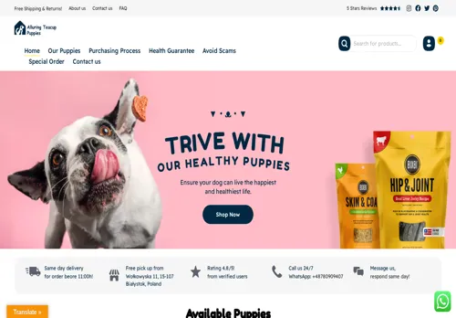 is alluringteacuppuppies.com legit? screenshot