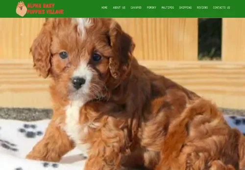 A screenshot of Genlanfamilystbernard.com