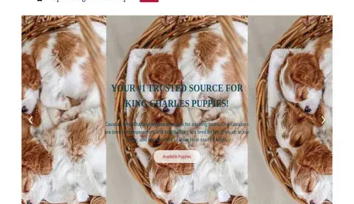 A screenshot of Genlanfamilystbernard.com