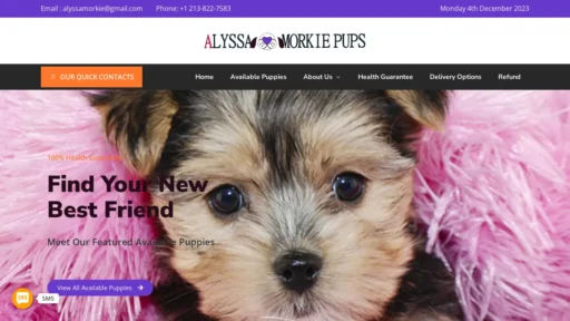 A screenshot of Alyssamorkie.com