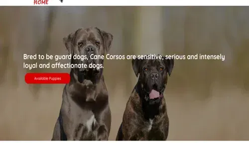 A screenshot of Genlanfamilystbernard.com