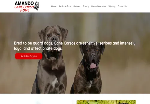 is amandocanecorsohome.com legit? screenshot