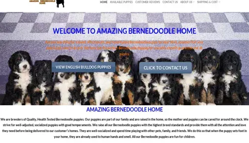 A screenshot of Genlanfamilystbernard.com