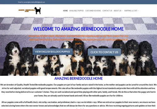 is amazingbernedoodle.shop legit? screenshot