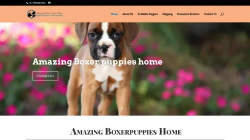 A screenshot of Amazingboxerpuppieshome.com
