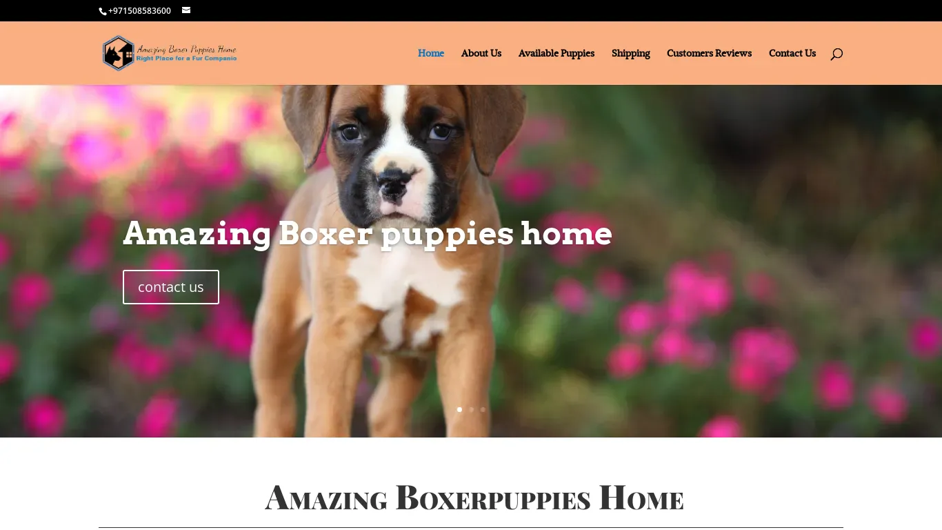 is amazingboxerpuppieshome.com legit? screenshot
