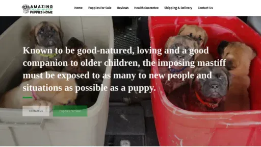 A screenshot of Amazingenglishmastiffpuppieshome.com