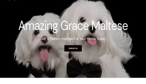 A screenshot of Genlanfamilystbernard.com