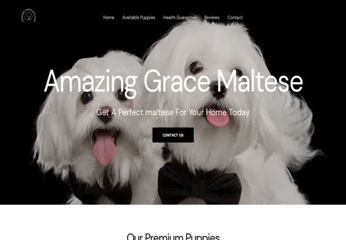 is amazinggracemaltese.us legit? screenshot