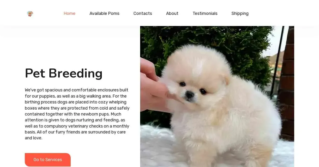 is amazinglysweetpomeranian.com legit? screenshot
