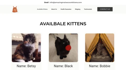 A screenshot of Amazingmainecoonkittens.com