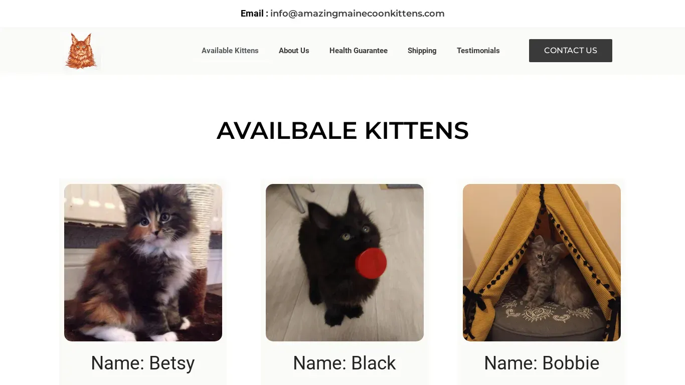 is amazingmainecoonkittens.com legit? screenshot