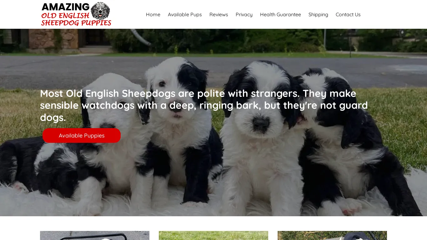 is amazingoldenglishsheepdogpuppies.com legit? screenshot