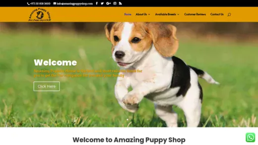 A screenshot of Amazingpuppyshop.com